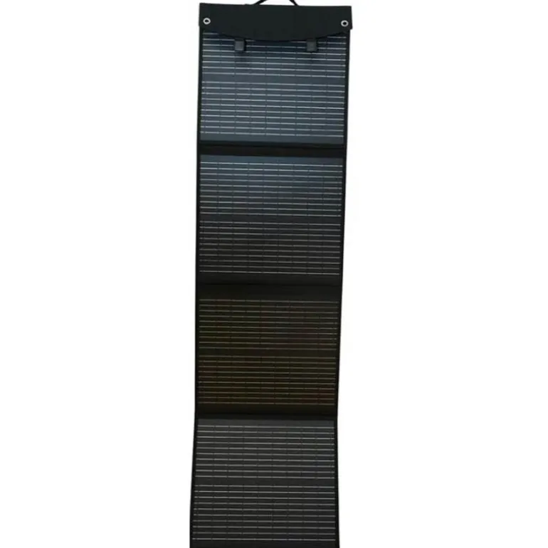 Batterie Lithium Bsr Prestige Plus Gen3 12V100amp + Prestige Plus Gen3 12V100amp + Chargeur