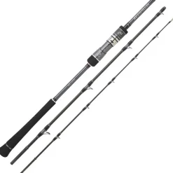 Canne Casting Hearty Rise Skywalker Slow Jigging Casting