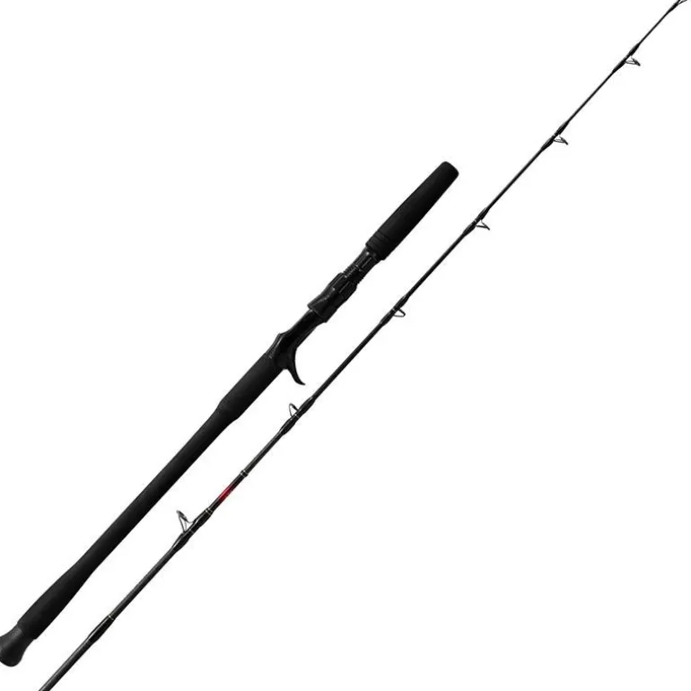 Canne Casting N.S Black Hole Dark Horse Ii Jigging