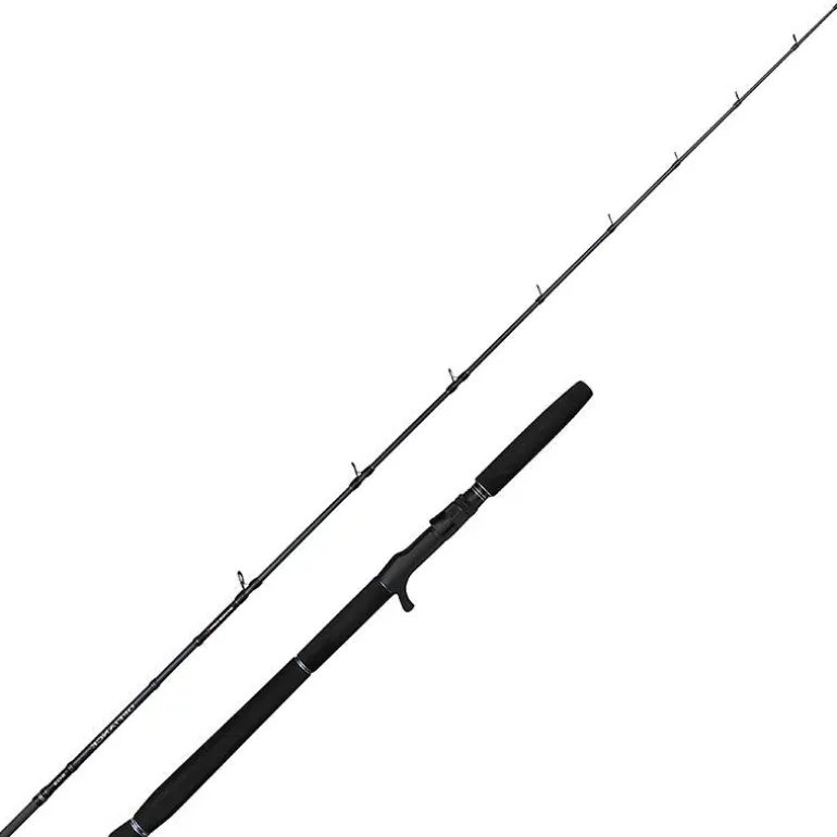 Canne Casting Savage Gear Defiance Sg2 Jigging Cast