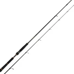 Canne Daiwa Black Gold Seabass