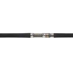 Canne Daiwa Morethan Branzino Expert