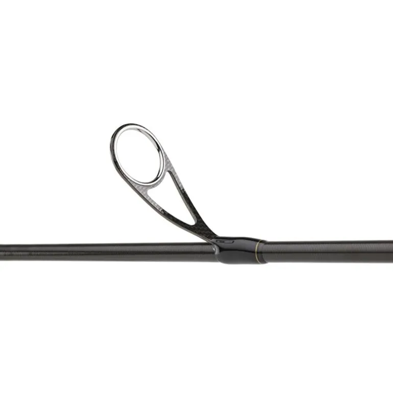Canne Daiwa Morethan Branzino Expert