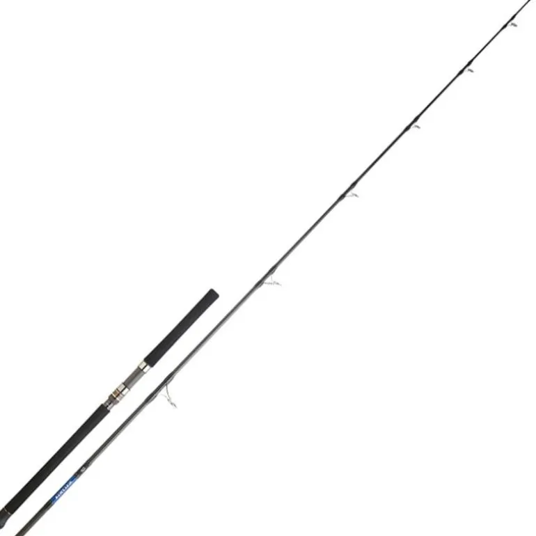 Canne Daiwa Saltiga