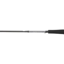 Canne Daiwa Saltist Seabass