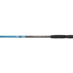 Canne Daiwa Spitfire Seabass
