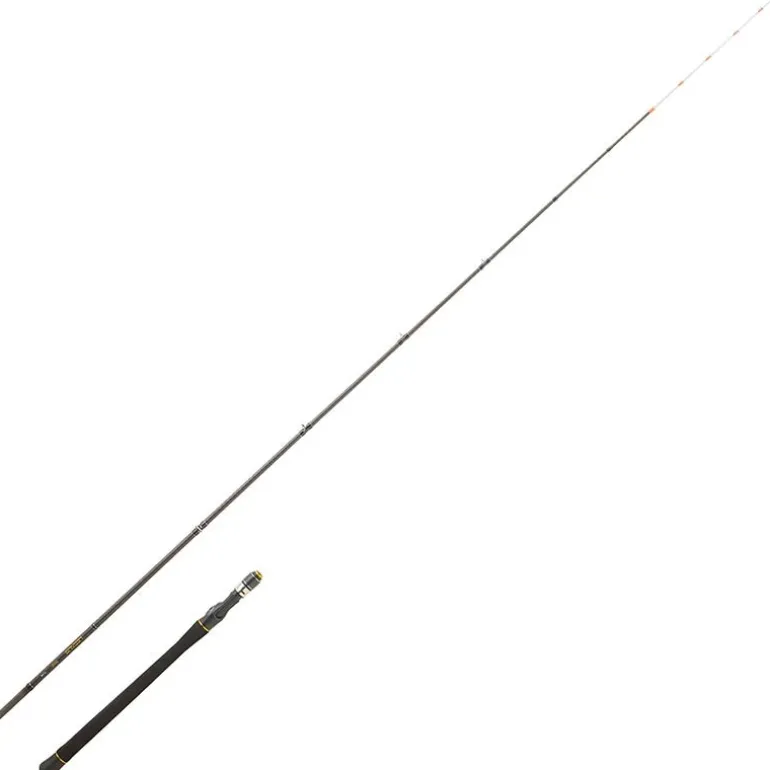 Canne Eging Daiwa Legalis Squid Tataki Casting