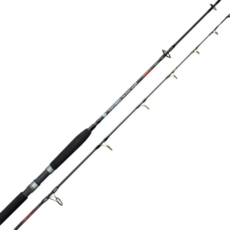Canne Mer Shimano Vengeance Jig Boat