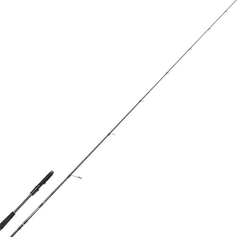 Canne Penn Conflict Xr Inshore
