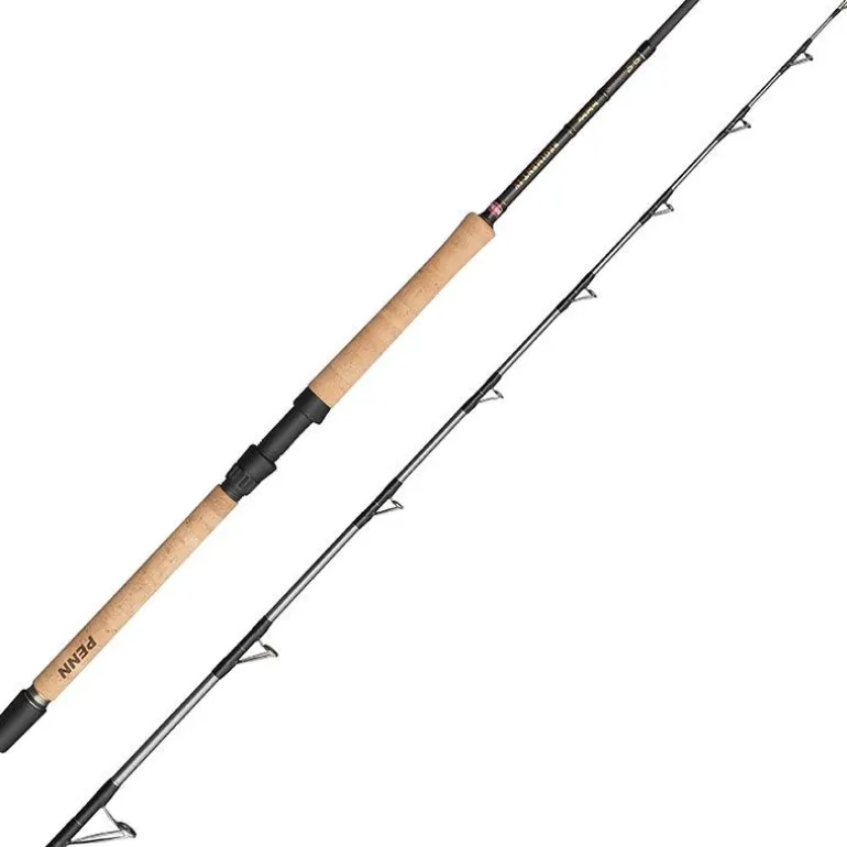 Canne Penn Regiment Iv Pro Boat Rod