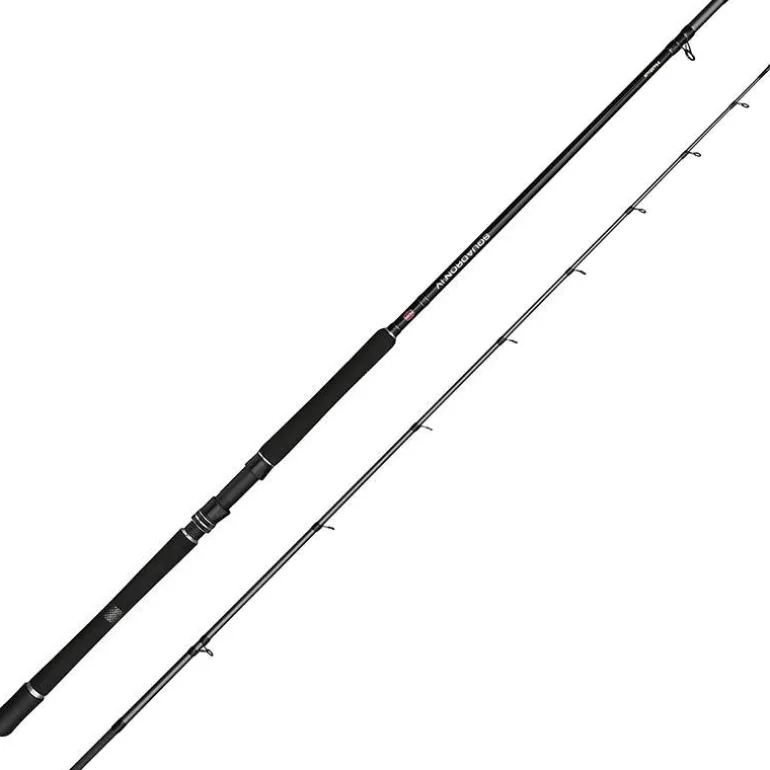 Canne Penn Squadron Iv Halibut Cast