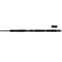 Canne Spinning Penn Squadron Iii Boat Spinning Rod