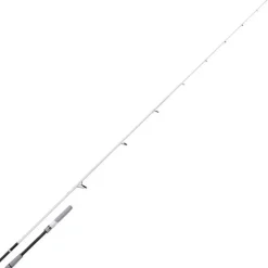 Canne Spinning Shimano Stradic Spinning Seabass