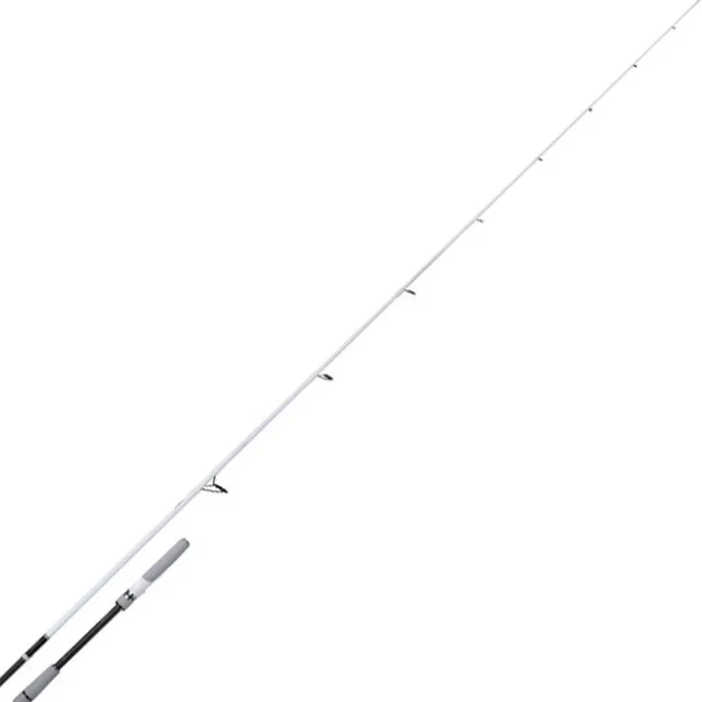 Canne Spinning Shimano Stradic Spinning Seabass