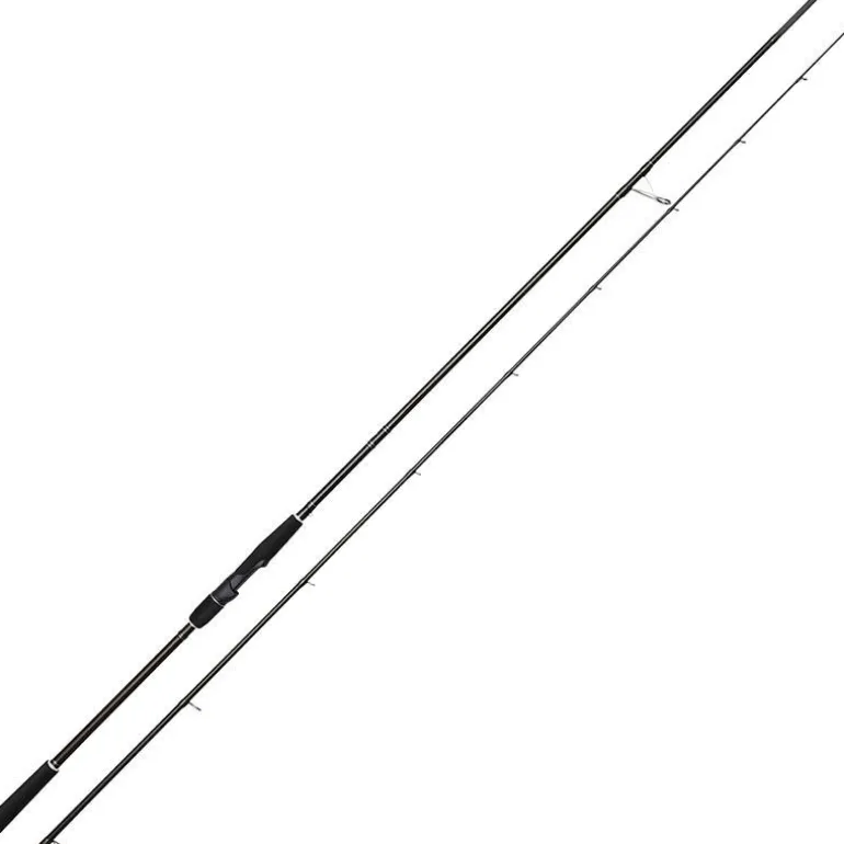 Canne Spinning Westin W2 Sbass