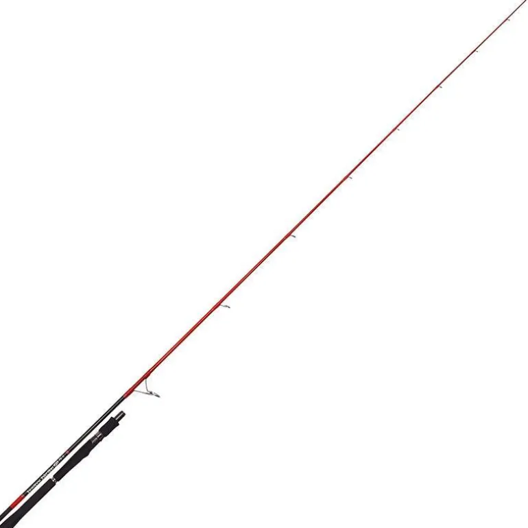 Canne Tenryu Injection Sp 76 H