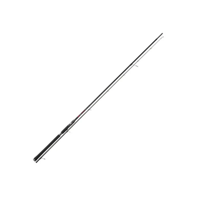 Canne Tenryu Namija 960 Mh