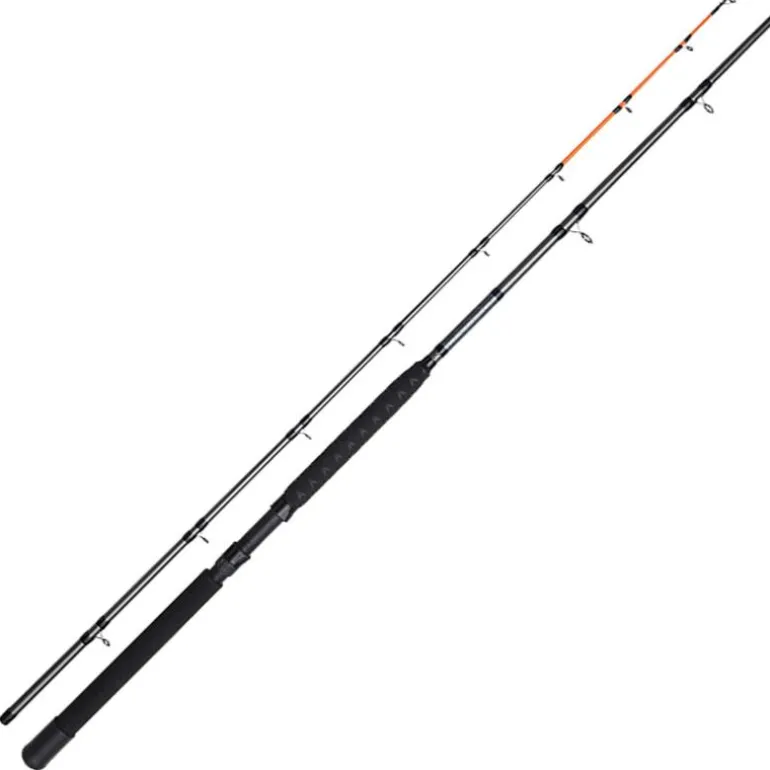 Canne Traine Dam Salmonizer Planer