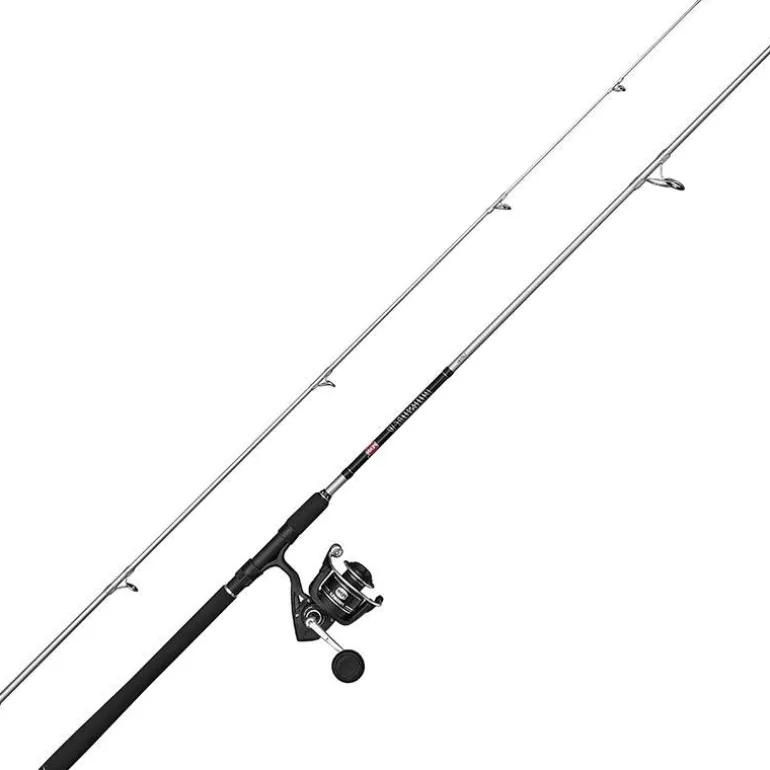 Ensemble Mer Penn Pursuit V Labrax Combo