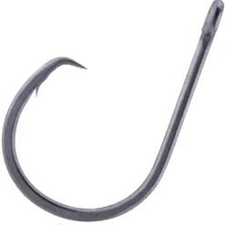 Hameçon Simple Bkk Ss Inline Heavy Circle