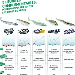 Leurre Souple Fiiish Master Shad 75 - Par 2