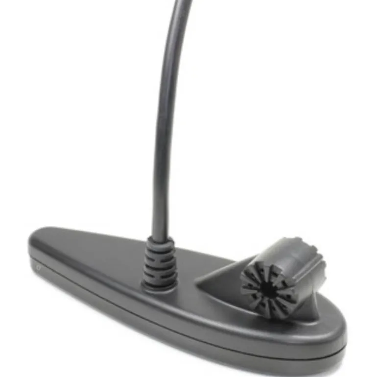 Sonde Tri-Faisceaux Humminbird Down Imaging