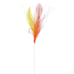 Train De Plumes Srt Plumes Rouges Et Jaunes